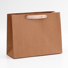 Пакет крафт без печати, горизонтальный, 27?10?21 см 260 г/м? (комплект 5 шт)