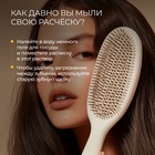 Средство для мытья посуды Synergetic «Лимон», биоразлагаемый гель, с антибактериальным эффектом, 5 л - Фото 9