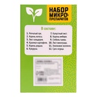 УЦЕНКА Набор для опытов «Набор микропрепаратов», растения 10854131