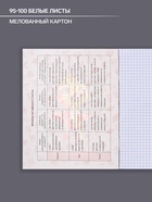 Предметная тетрадь по английскому языку Calligrata «Неоновые звери», 48 листов, в клетку, со справочным материалом, обложка из мелованного картон... - Фото 2