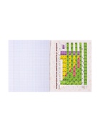 Предметная тетрадь по химии Calligrata «Неоновые звери», 48 листов, в клетку, со справочным материалом, обложка из мелованного картона - фото 65439083