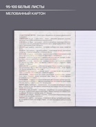 Предметная тетрадь по литературе Calligrata «Неоновые звери», 48 листов, в линейку, со справочным материалом, обложка из мелованного картона - Фото 2