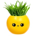 Набор для опытов, для детей «Выращиваем травку», растение в горшочке - эмодзи «Милый» - Фото 5