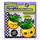 Набор для опытов, для детей «Выращиваем травку», растение в горшочке - эмодзи «Милый» - Фото 10