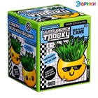 Набор для опытов, для детей «Выращиваем травку», растение в горшочке - эмодзи «Крутой» - Фото 11