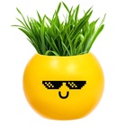 Набор для опытов, для детей «Выращиваем травку», растение в горшочке - эмодзи «Крутой» - Фото 5