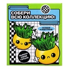 Набор для опытов, для детей «Выращиваем травку», растение в горшочке - эмодзи «Крутой» - Фото 9