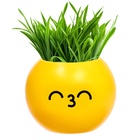 Набор для опытов, для детей «Выращиваем травку», растение в горшочке - эмодзи «Поцелуйчик» - Фото 5