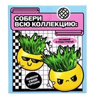 Набор для опытов, для детей «Выращиваем травку», растение в горшочке - эмодзи «Поцелуйчик» - Фото 10