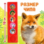 Музыкальная развивающая игрушка «Звуки леса», 5 кнопок - Фото 2
