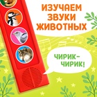 Музыкальная развивающая игрушка «Звуки леса», 5 кнопок - Фото 3