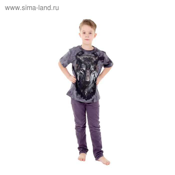 Футболка детская Collorista 3D Shaman, возраст 8-10 лет, рост 134-140 см, цвет серый - Фото 1