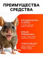 Тесто-брикеты от грызунов «ТОМ КОТ БРО», в таблетках, классические, 250 г - Фото 3