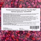Зерновой микс ассорти от грызунов "ТОМ КОТ БРО" пакет, 1кг - Фото 2