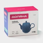 Заварочный чайник Доляна «Коралл», 600 мл, фарфор, синий 10473041 - фото 319590511