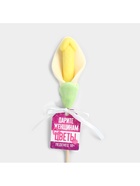 Леденец на палочке «Дарите женщинам цветы», вкус: пломбир, 18 + - Фото 3