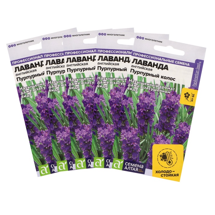 Семена цветов Лаванда "Пурпурный колос",набор 5 шт - Фото 1