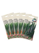 Семена Огурец «Хрустящий аллигатор », набор 5 шт., «Рецепты дедушки Никиты» - Фото 5