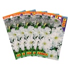 Семена Петуния Афродита F1 белая крупноцветковая,набор 5 шт - Фото 1