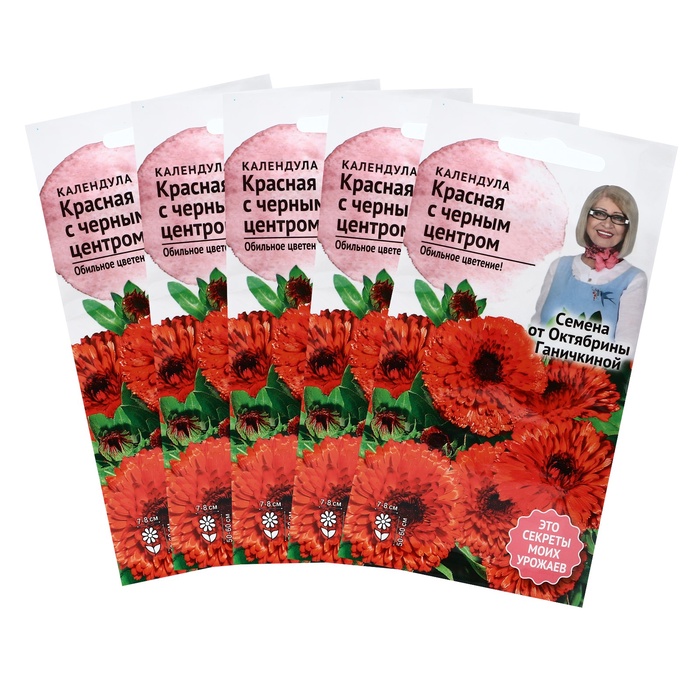 Семена Цветов Календула "Красная с чёрным центром",набор 5 шт - Фото 1