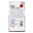 Семена Цветов Календула "Красная с чёрным центром",набор 5 шт 10839733 - фото 2689660