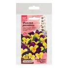 Семена Цветов  Фиалка "Еллоу Пурпл Винг",набор 5 шт 10839736