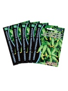 Семена огурца "Всем на Зависть", набор 5 шт - фото 34669713