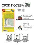 Семена Огурец "Необыкновенное чудо" F1, раннеспелый, партенокарпический,набор 5 шт - Фото 2