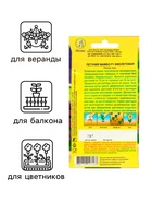 Семена  Петуния "Мамбо" F1 фиолетовая многоцветковая,набор 5 шт 10839769 - фото 2689757