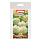 Семена Бархатцы низкорослые "Эскимо", набор 5 шт - фото 30853374