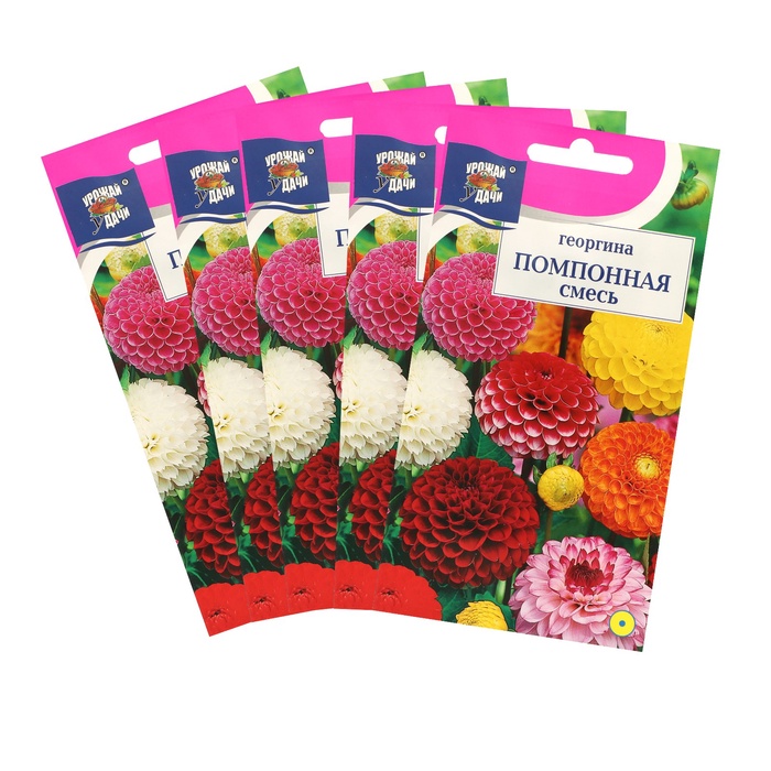 Семена цветов Цв Георгина Смесь "Помпонная",набор 5 шт - Фото 1