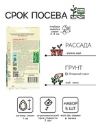 Семена огурца "Внучок", F1,набор 5 шт 10839785 - фото 16404833
