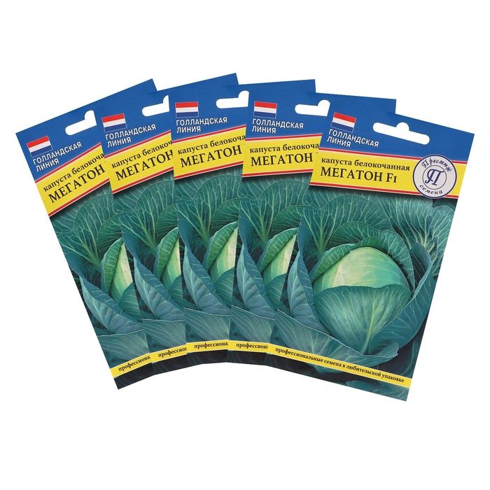 Семена Капусты белокочанной "Мегатон",набор 5 шт - Фото 1