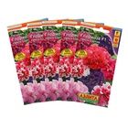 семена Петуния Глориоза F1 крупноцветковая махровая,набор 5 шт - Фото 1