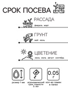 Семена цветов Лобелия "Сапфир" ампельная,набор 5 шт - Фото 2