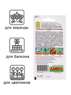 Семена цветов Лобелия "Сапфир" ампельная,набор 5 шт - Фото 3