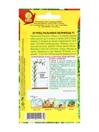 Семена Огурец "Пальчики оближешь F1", раннеспелый, партенокарпический, набор 5 шт - фото 34669724