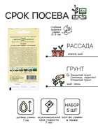 Семена Огурец "Изумрудные сережки" F1, корнишон, раннеспелый, партенокарпический,набор 5 шт   108398 10839813 - фото 16140261