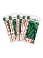 Семена Огурец "Луховицкий F1", серия 1+1, корнишон, набор 5 шт - фото 34669737