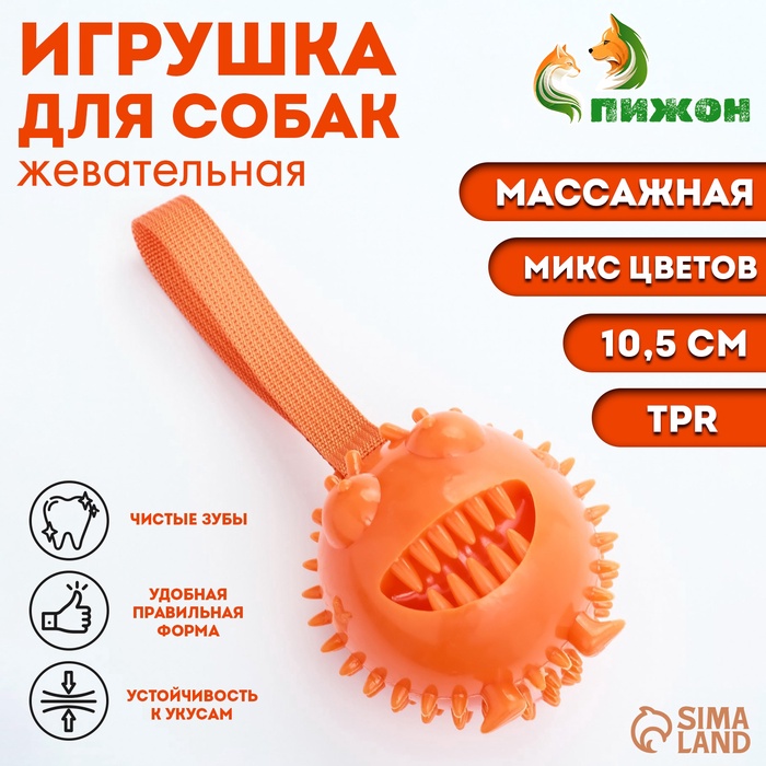 Игрушка под лакомства для собак «Смеющийся монстр» 10.5 см, TPR, МИКС - Фото 1