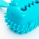 Игрушка под лакомства для собак «Квадратный монстр» 9 см, TPR, МИКС - Фото 5