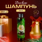 Шампунь для волос «Secret Beauty» с ароматом хвои 250 мл - фото 322298875