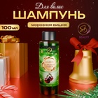 Шампунь для волос «Secret Beauty», аромат морозной вишни, зеленая серия, 100 мл 10853914 - фото 12930854