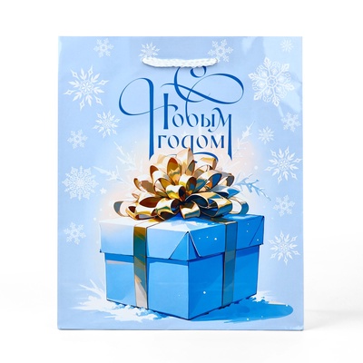 Пакет подарочный новогодний ламинированный «С новым годом», ML 21 х 25 х 8 см