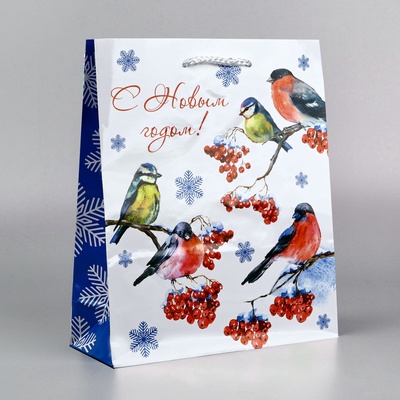 Пакет подарочный новогодний ламинированный «Снегири», ML 21×25×8 см