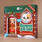 Подарочный набор новогодний детский «Подарок для тебя», пена для купания 250 мл и бомбочка для ванны 110 г, Чистое счастье - Фото 11