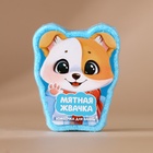 Подарочный набор новогодний детский «Подарок», пена для купания 250 мл и бомбочка для ванны 110 г, Чистое счастье - Фото 3