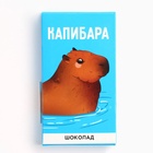 Шоколад 27 гр "Капибара" - фото 322335412