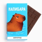 Шоколад «Капибара», 27 гр (комплект 2 шт) - фото 31083367