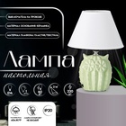Настольная лампа с абажуром RISALUX «Сова», Е14, 40 Вт, салатовый, 20×20×29 см - Фото 1